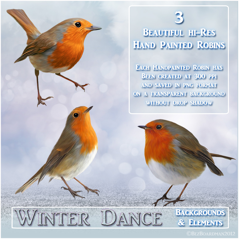 Winter Dance by N/A
