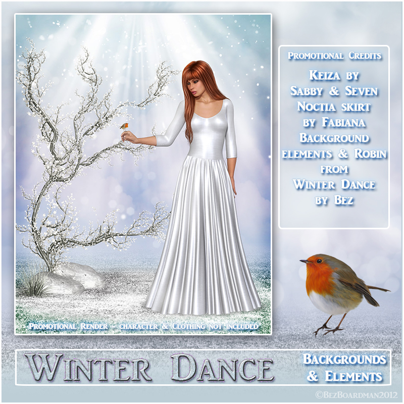 Winter Dance by N/A