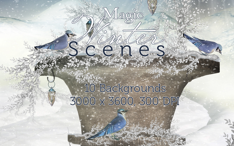 Magic Winter Scenes by N/A