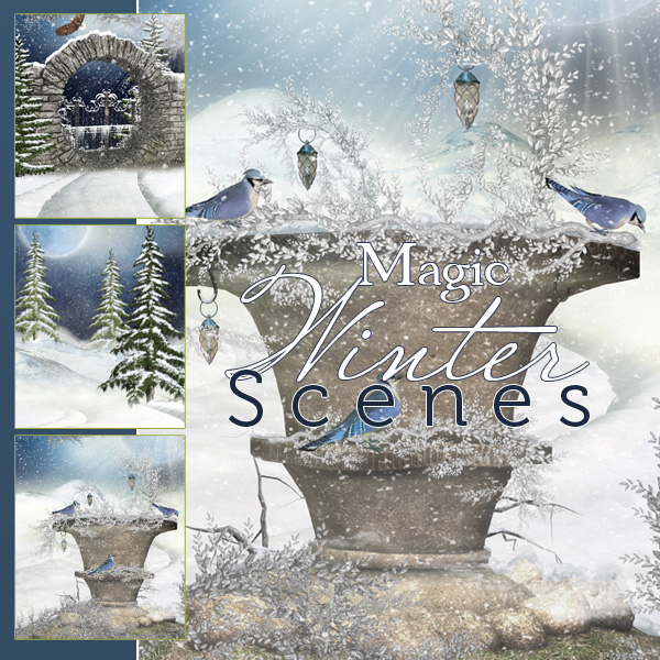 Magic Winter Scenes by N/A
