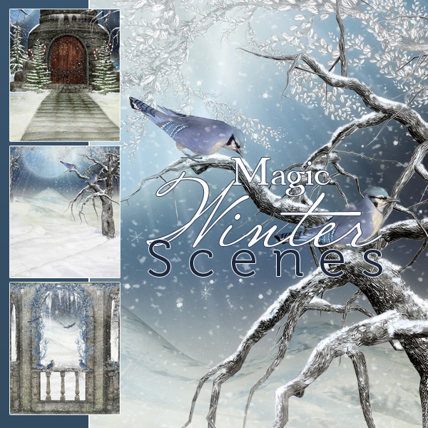 Magic Winter Scenes by N/A