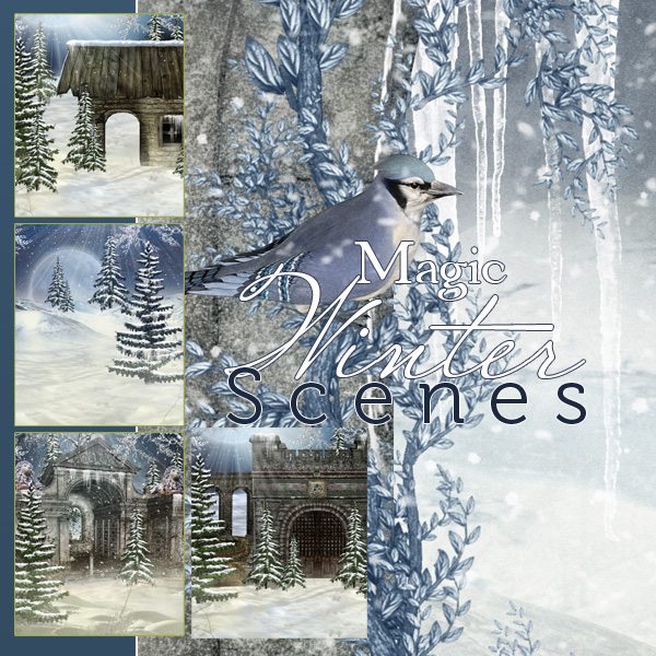 Magic Winter Scenes by N/A