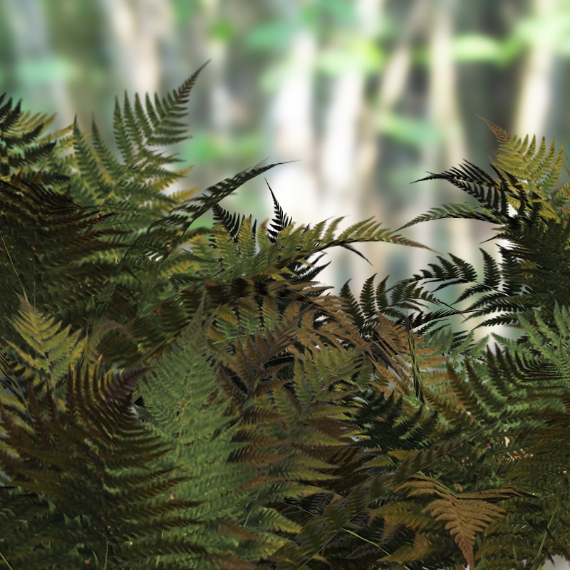 Ferns 2012 DR by N/A