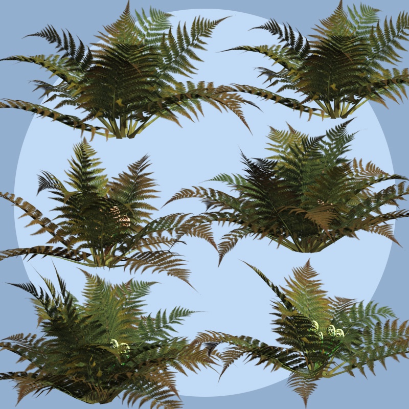 Ferns 2012 DR by N/A