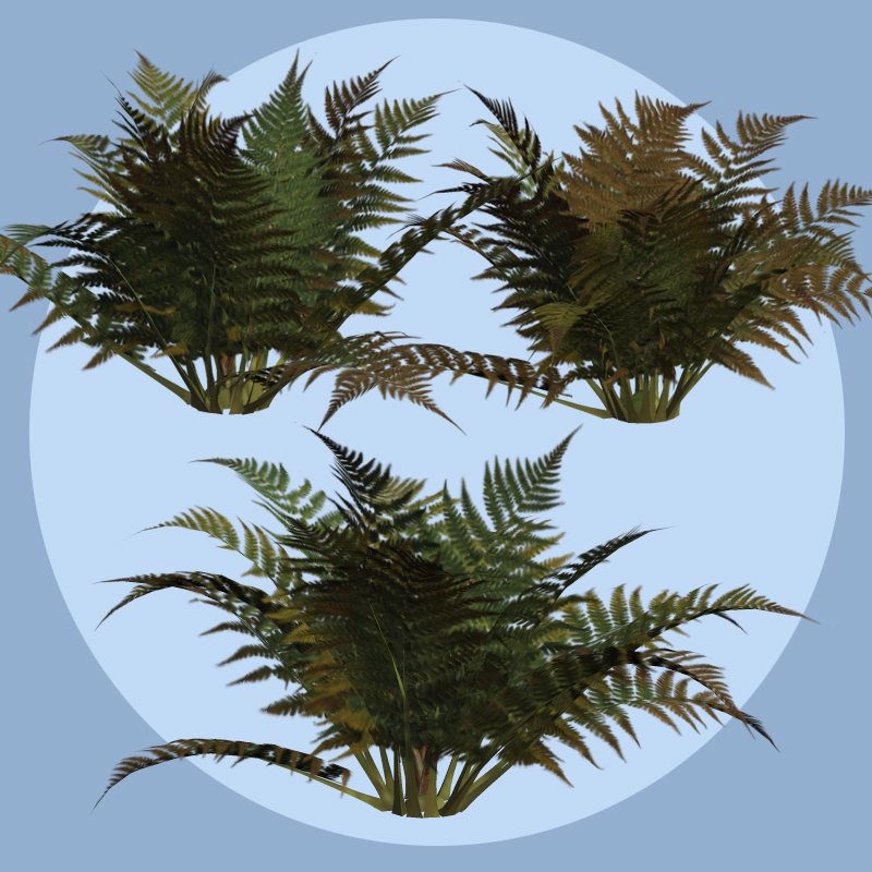 Ferns 2012 DR by N/A