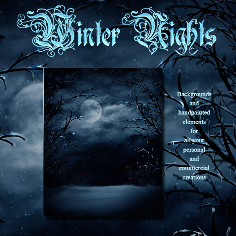 WinterNights by N/A