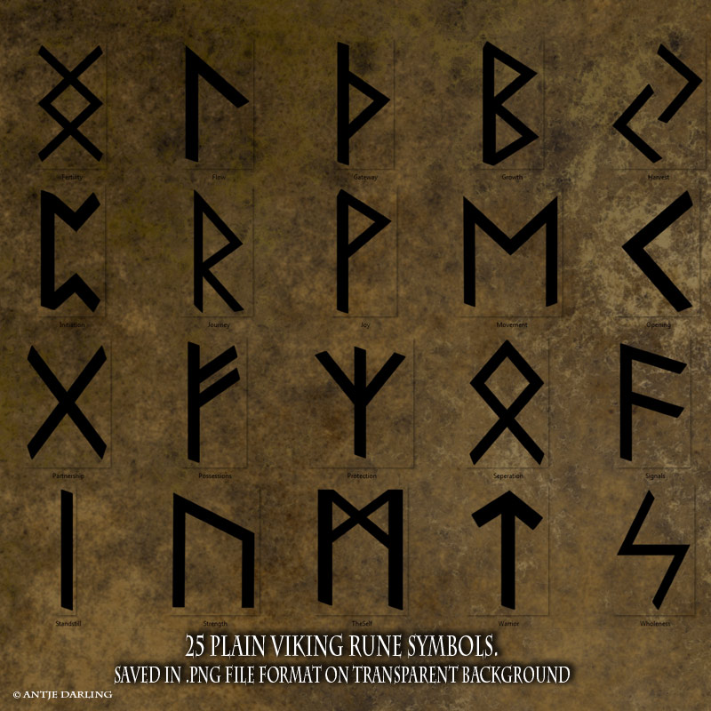 Viking Runes by N/A