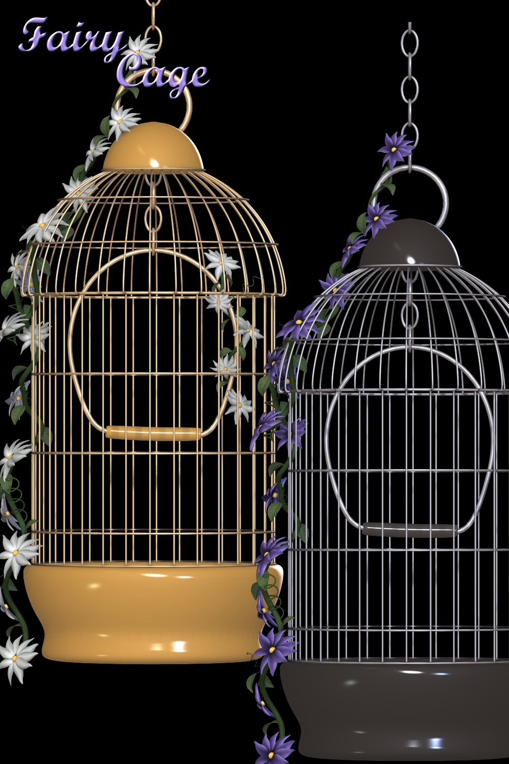 Fairy Cage by N/A