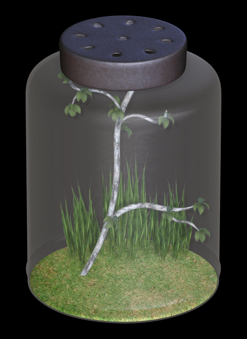 Fairy Jar by N/A