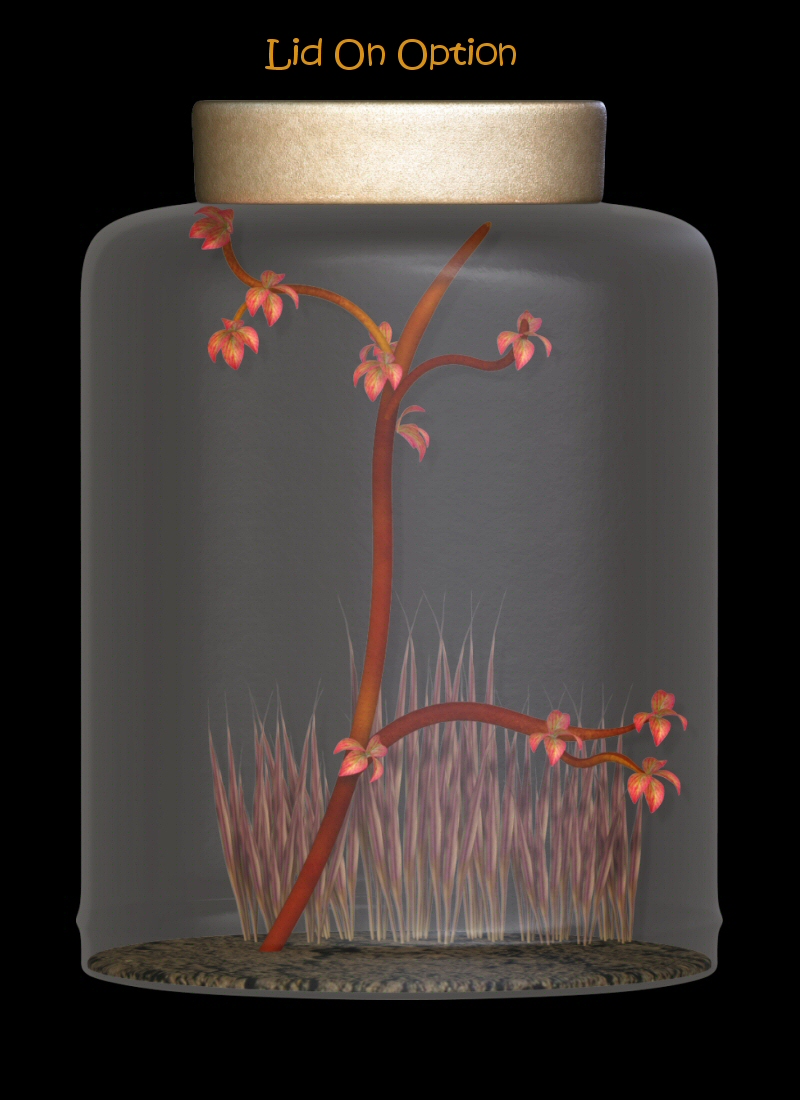 Fairy Jar by N/A
