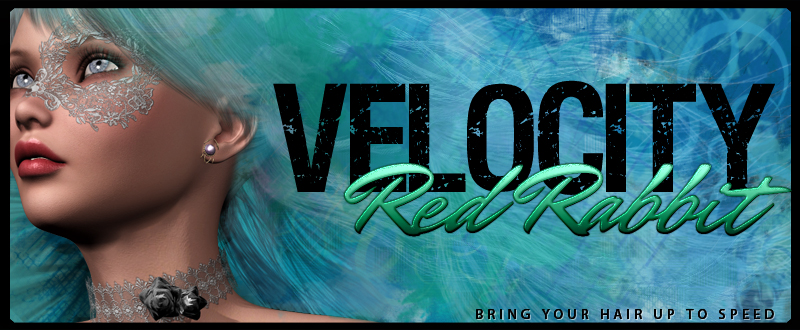 Velocity Red Rabbit by N/A