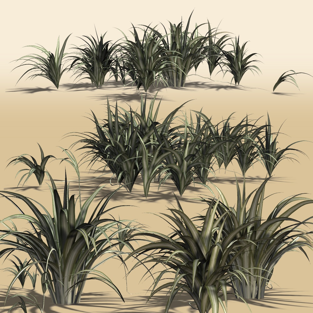 Spider Plant DR by N/A