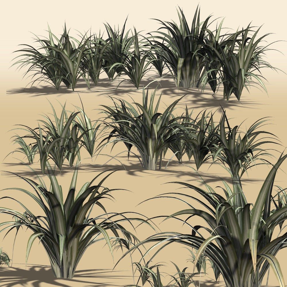 Spider Plant DR by N/A