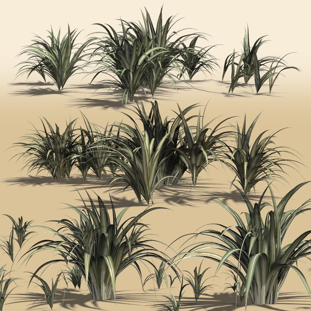 Spider Plant DR by N/A