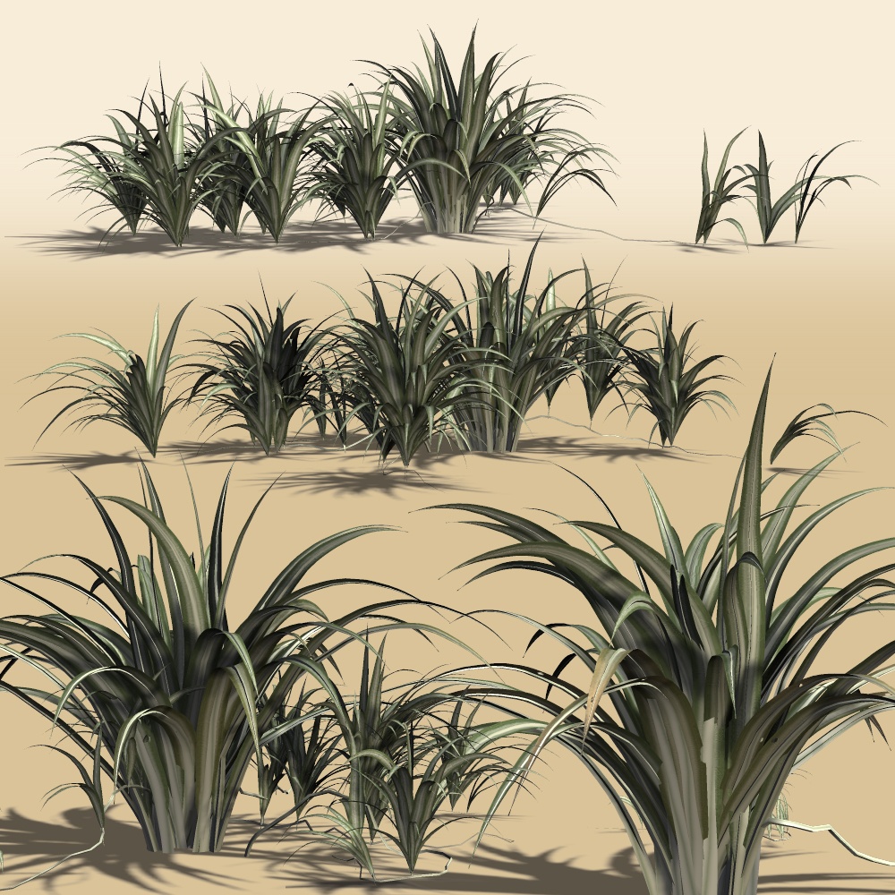 Spider Plant DR by N/A