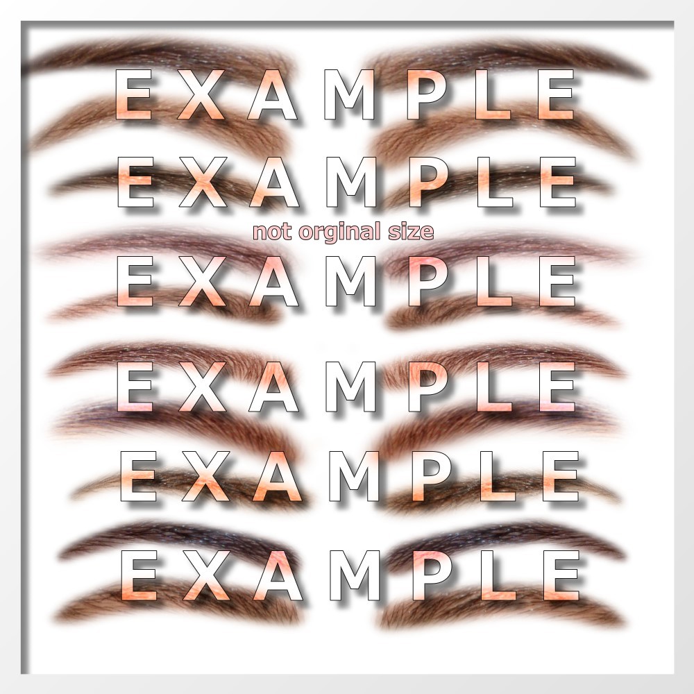 AM: Everyday Brows 2 - Merchant Resource by N/A