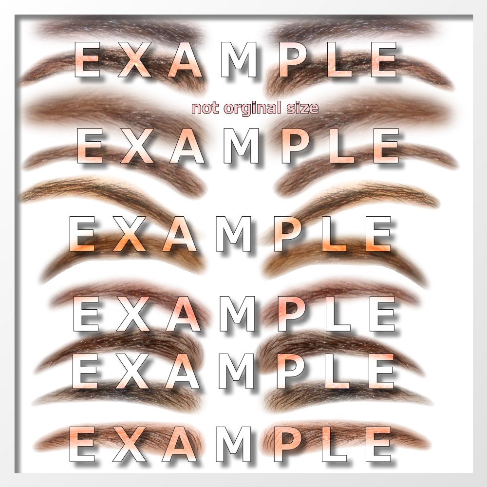 AM: Everyday Brows 2 - Merchant Resource by N/A