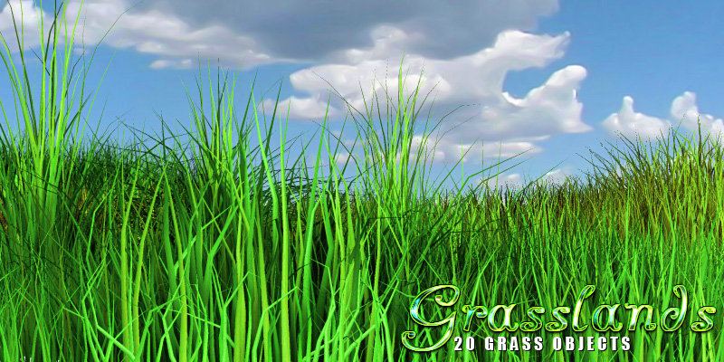 Grasslands by N/A