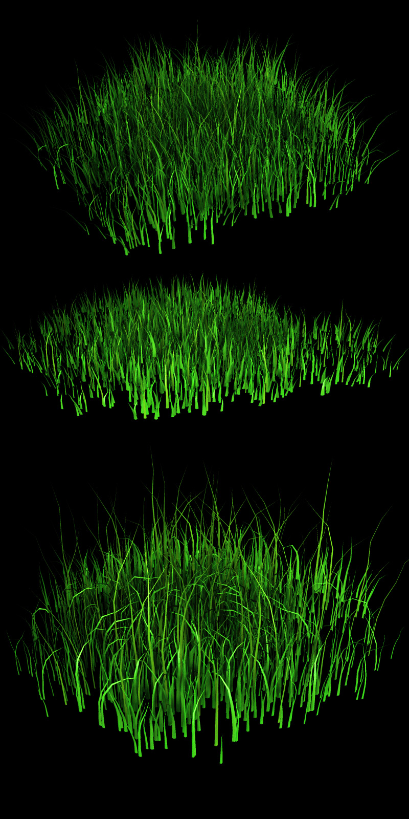 Grasslands by N/A