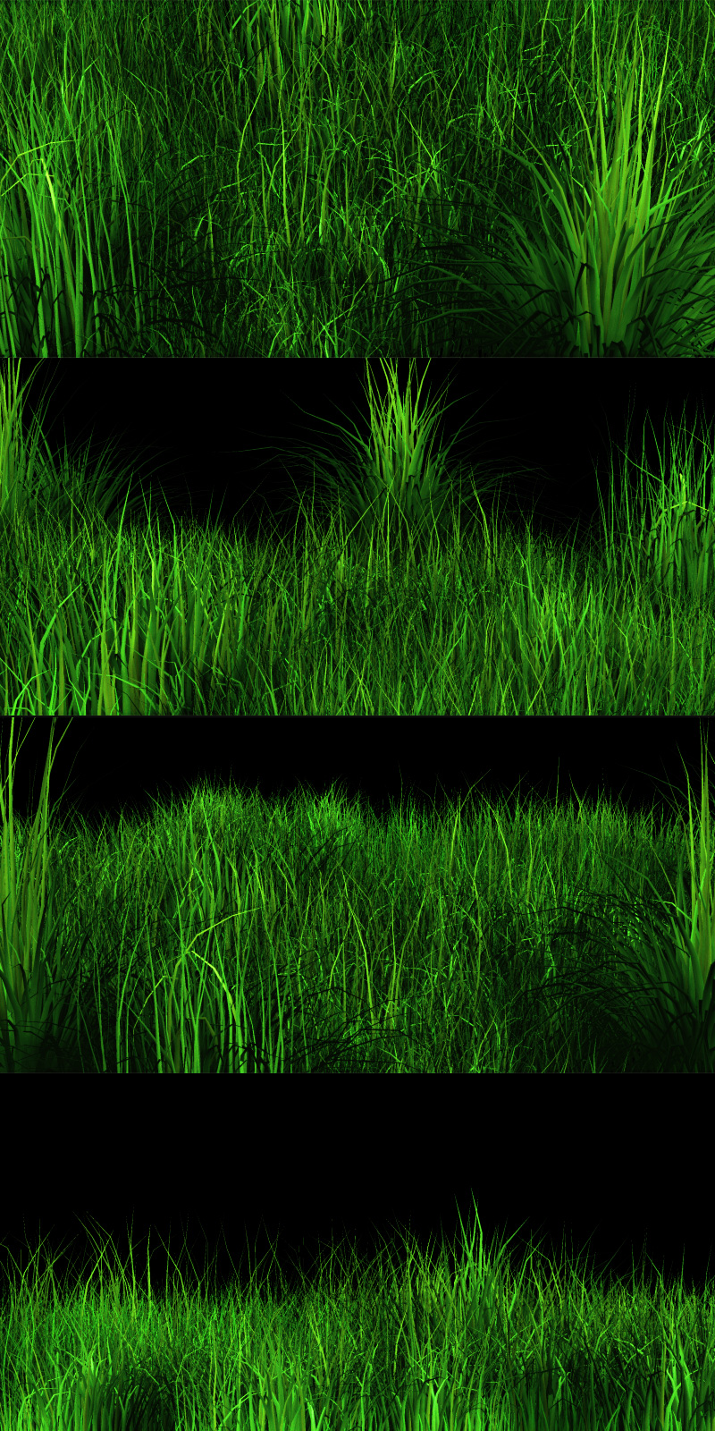Grasslands by N/A