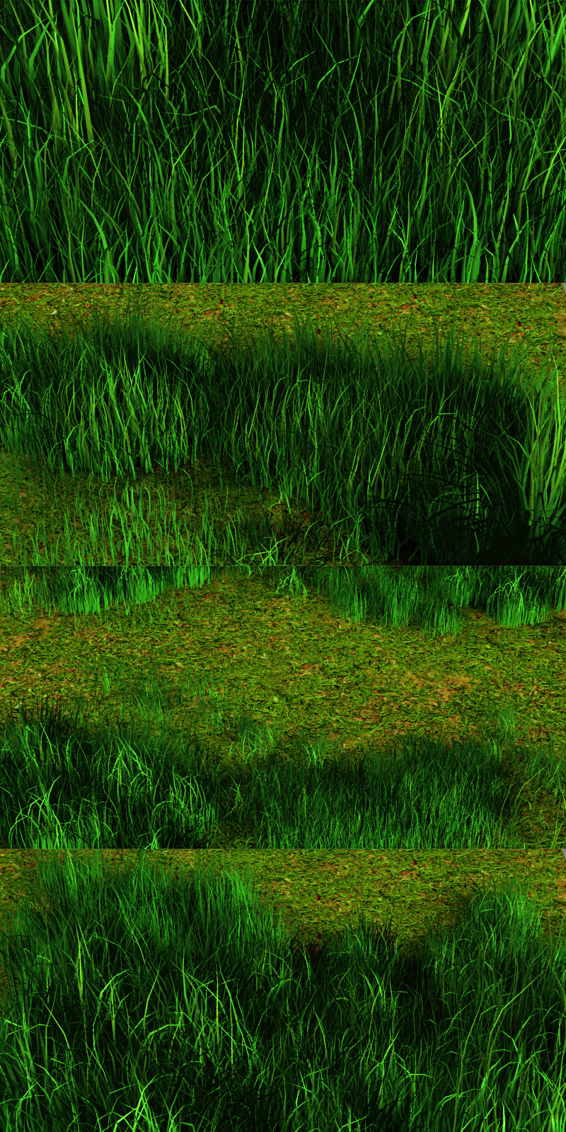 Grasslands by N/A