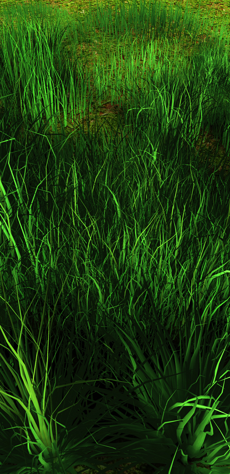 Grasslands by N/A
