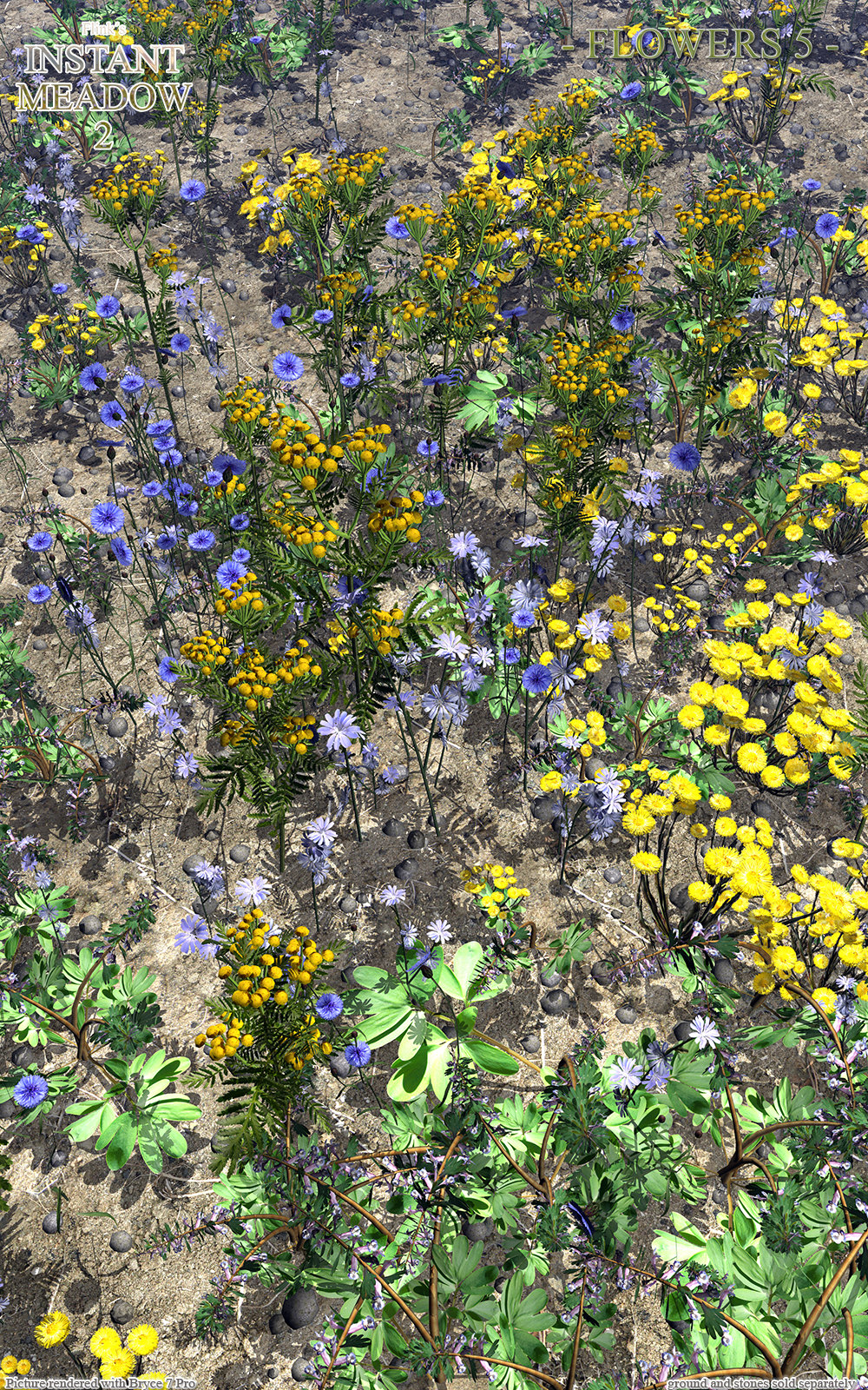 Flinks Instant Meadow 2 - Flowers 5 by N/A