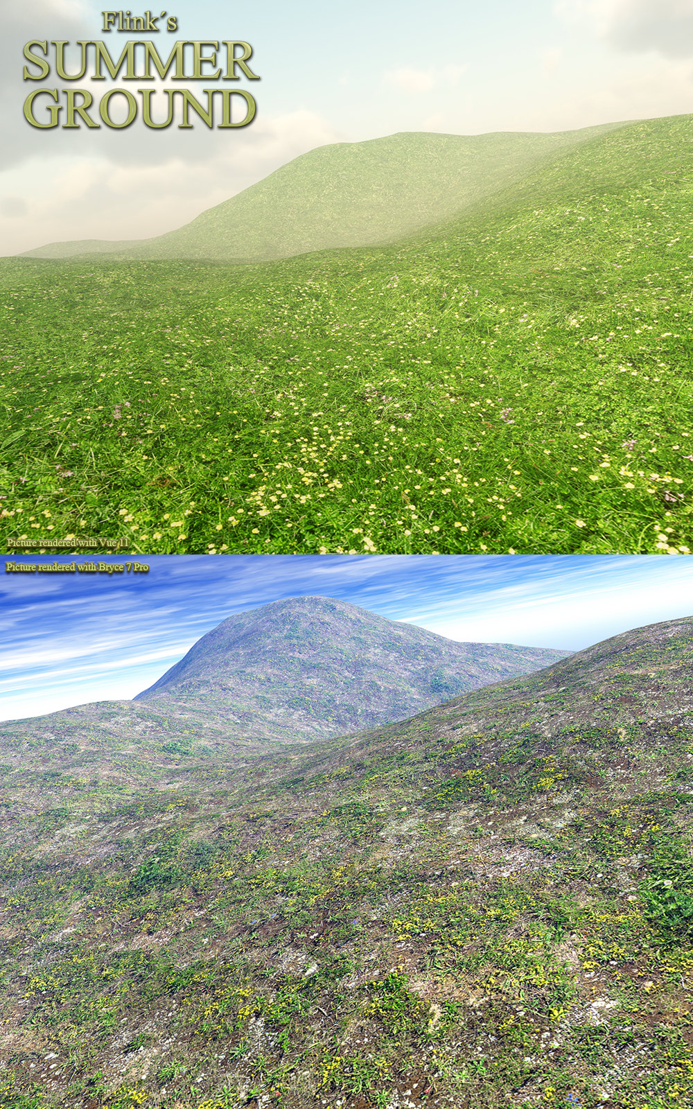 Flinks Summer Ground by N/A
