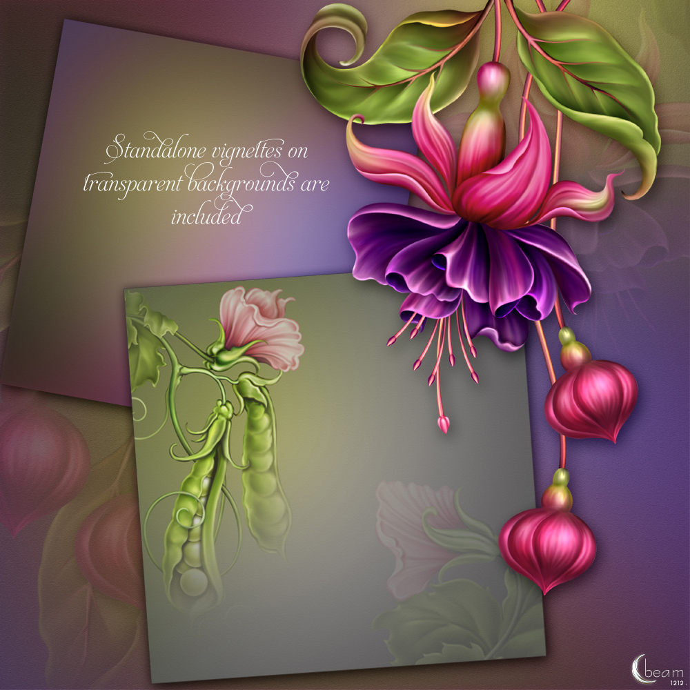 Moonbeam's Fuchsia Pea by N/A
