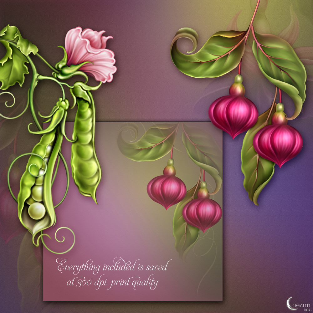 Moonbeam's Fuchsia Pea by N/A