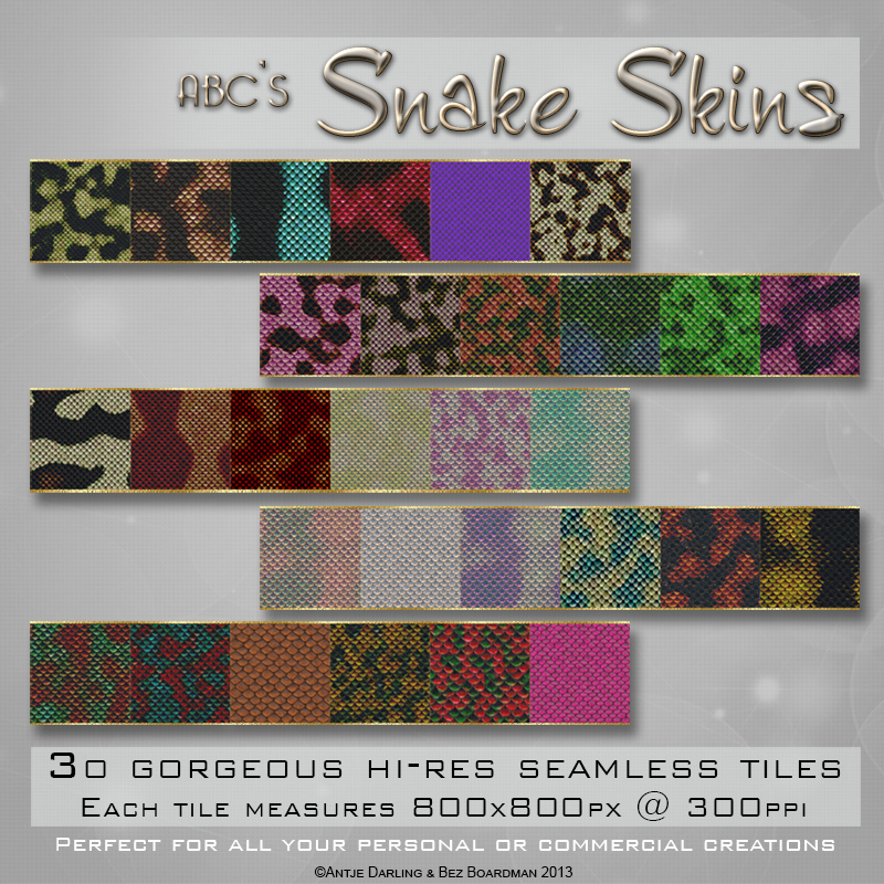 ABC's Snake Skins by N/A