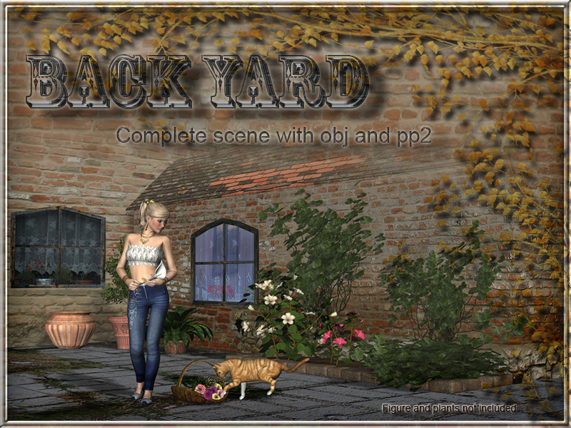 Back Yard by N/A
