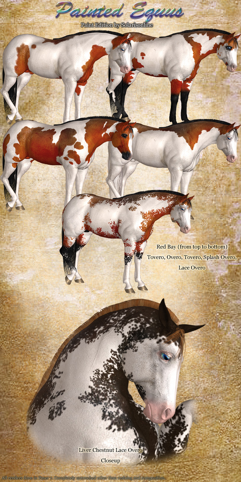 Painted Equus Paint Edition by N/A