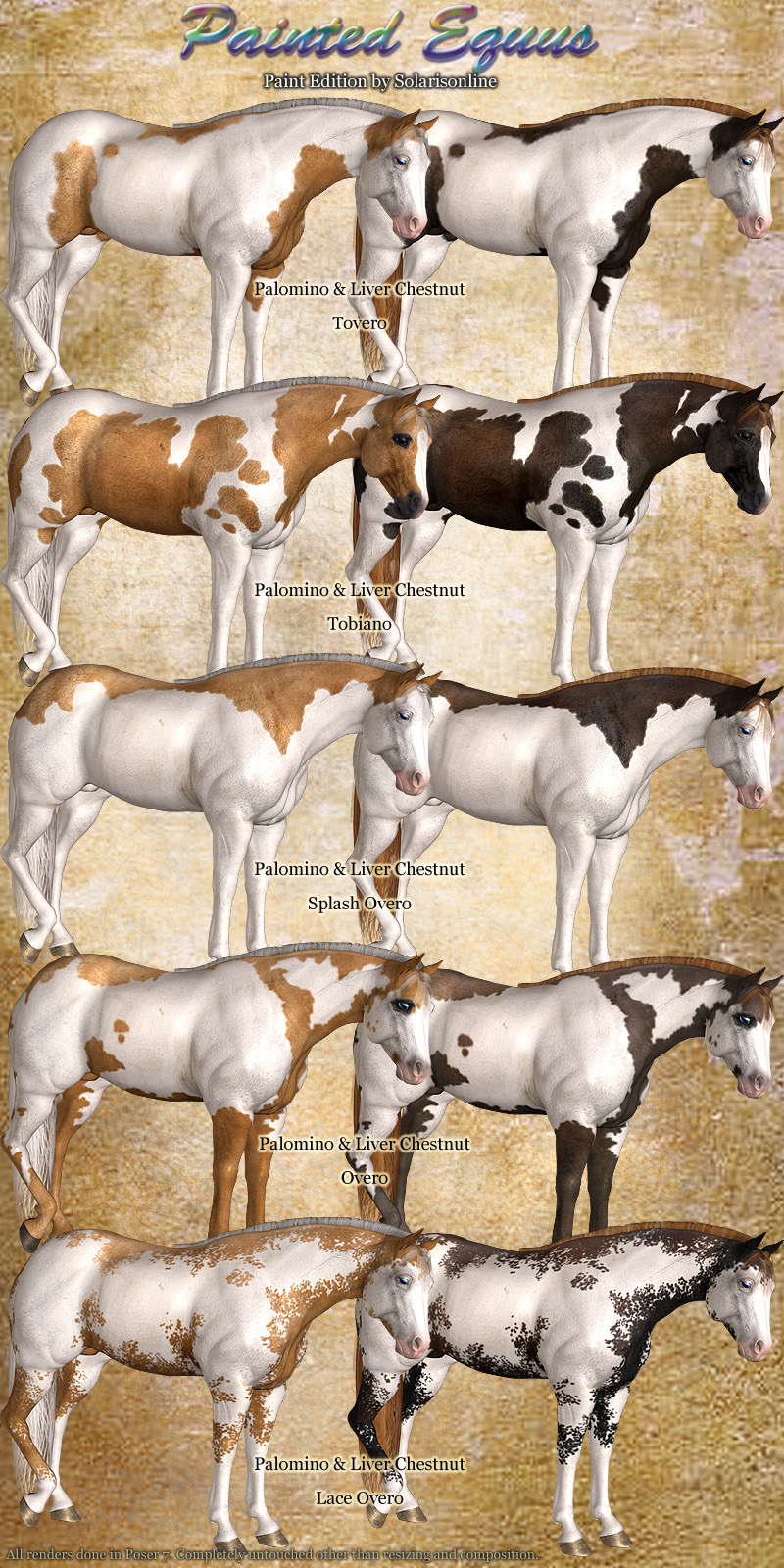 Painted Equus Paint Edition by N/A
