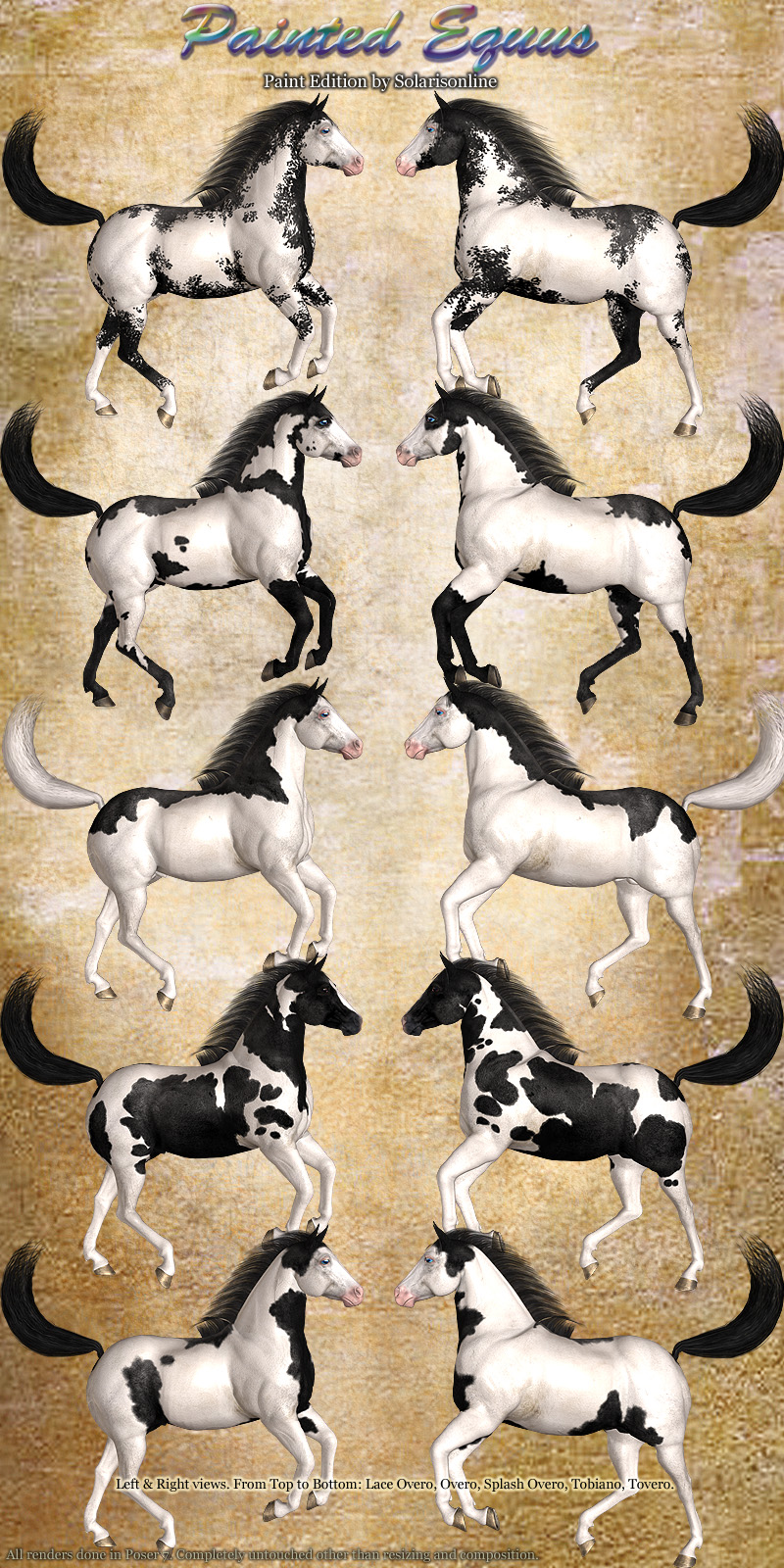 Painted Equus Paint Edition by N/A