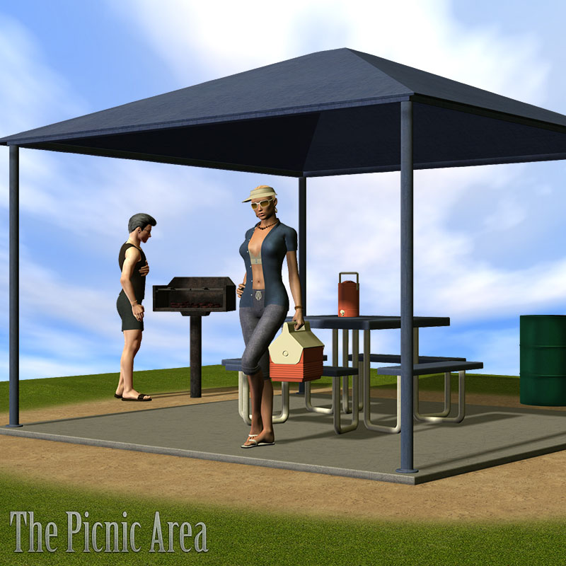 The Picnic Area by N/A